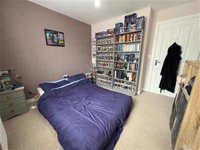 Picture 12